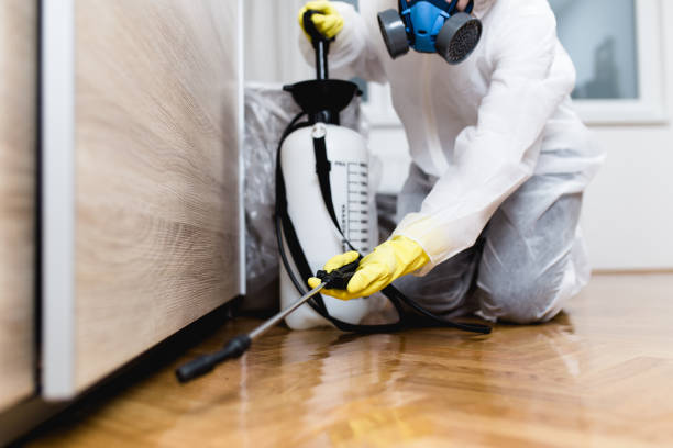 Best Termite Control Services  in Mint Hill, NC