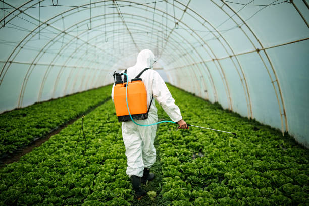 Best Emergency Pest Control  in Mint Hill, NC