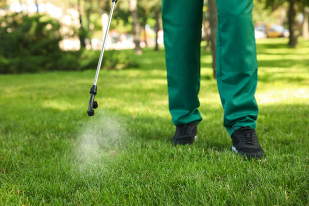 Best Wasp Removal Services  in Mint Hill, NC
