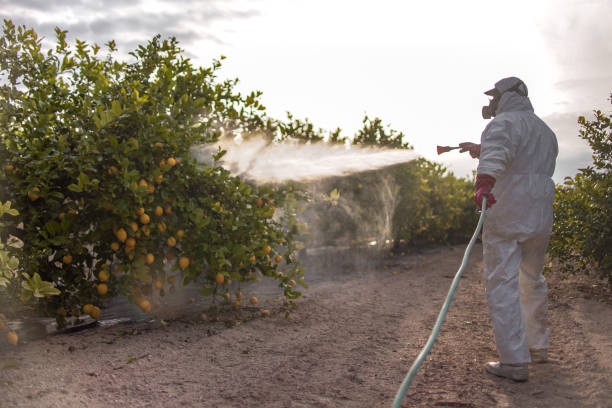 Best Pest Control Near Me  in Mint Hill, NC