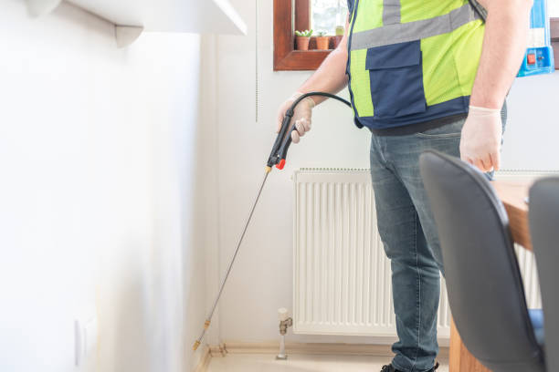 Best Wasp Removal Services  in Mint Hill, NC