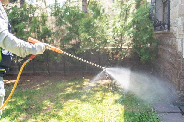 Best Affordable Pest Control Services  in Mint Hill, NC