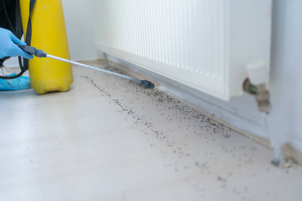 Trusted Mint Hill, NC Pest Control Experts