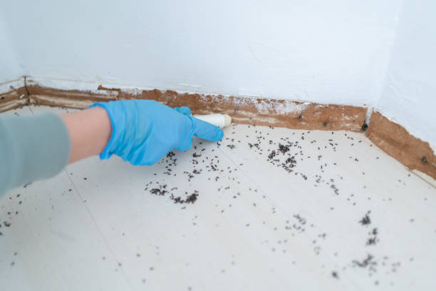 Best Wildlife Control Services  in Mint Hill, NC